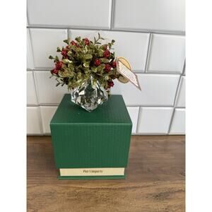NEW Pier 1 Imports Christmas Mistletoe Kissing Krystals
